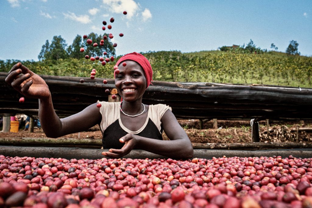 Happy Burundian women throws natural dried migoti coffee